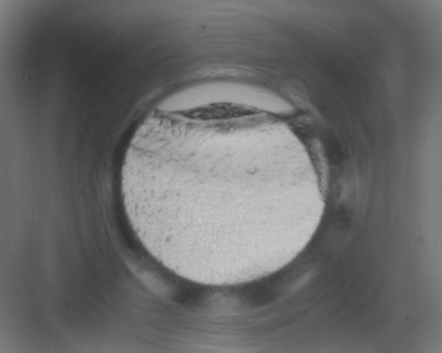 X0000081390207200702090046