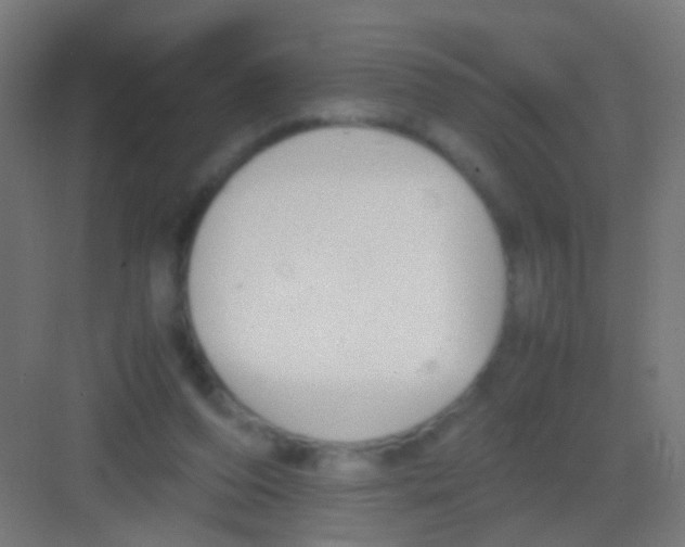 X0000081390208200702090046