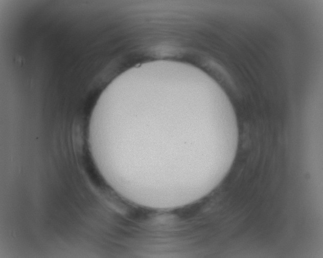 X0000081390210200702090046