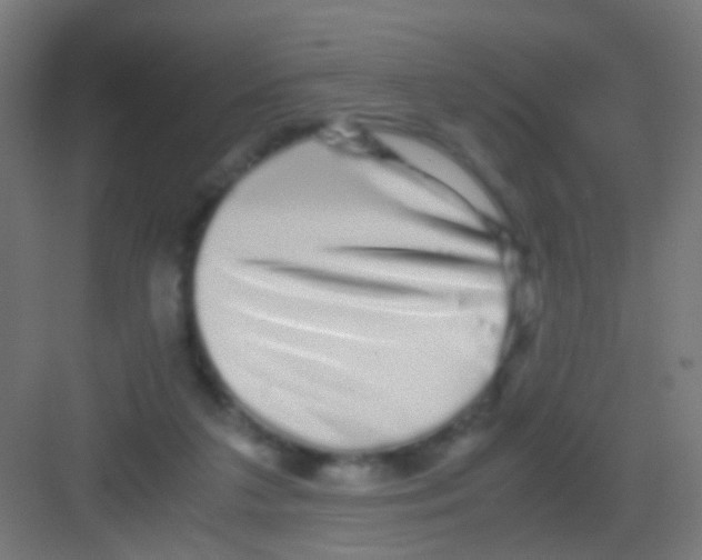 X0000081390211200702090046