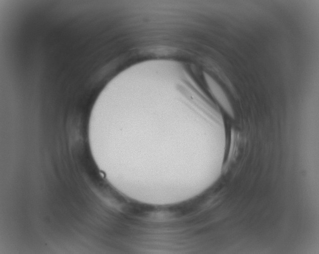 X0000081390212200702090046