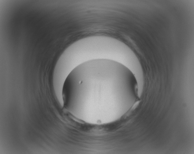 X0000081390213200702090046