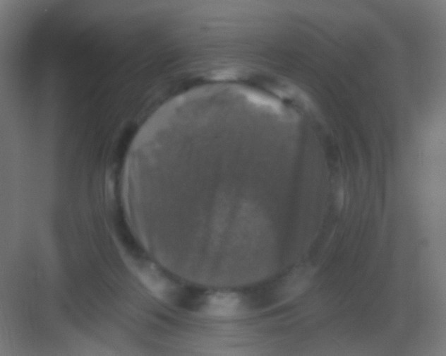 X0000081390214200702090046