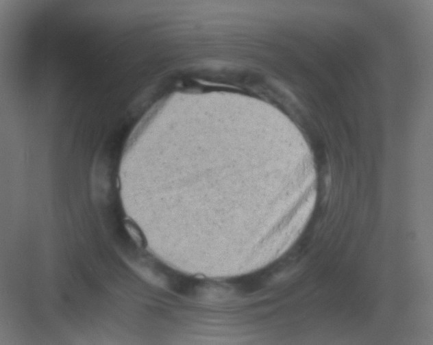 X0000081390215200702090046