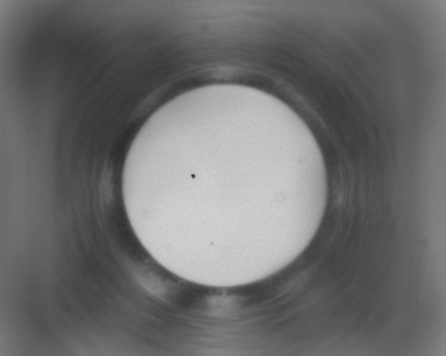 X0000081390216200702090046