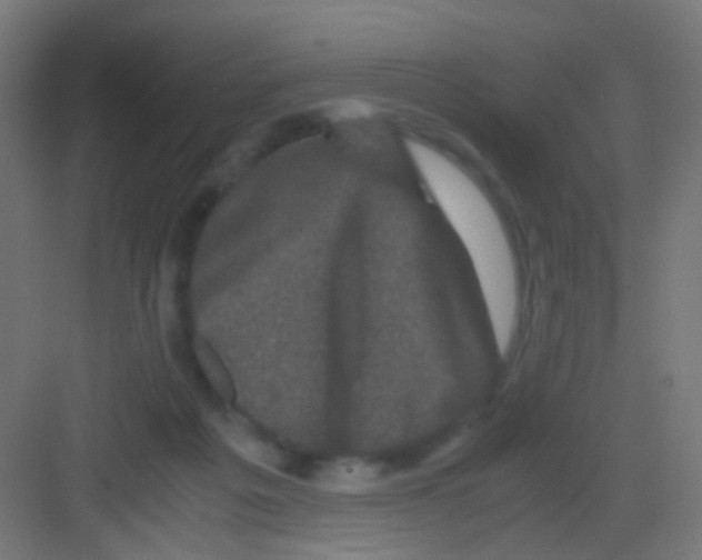 X0000081390217200702090046