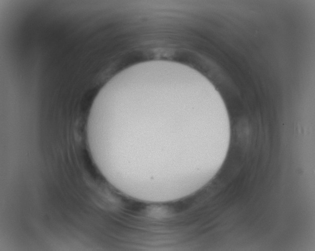 X0000081390218200702090046