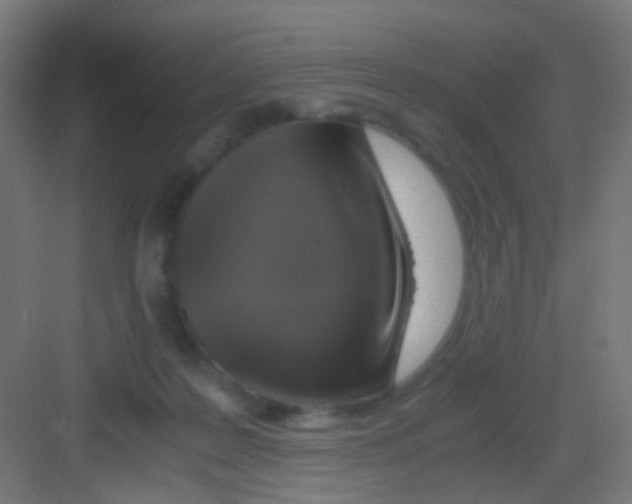 X0000081390219200702090046