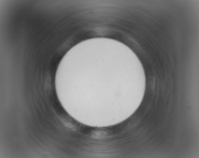 X0000081390220200702090046