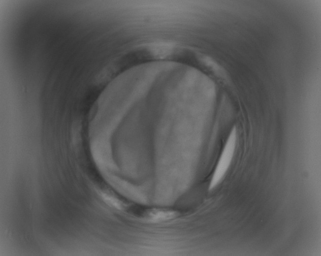 X0000081390221200702090046