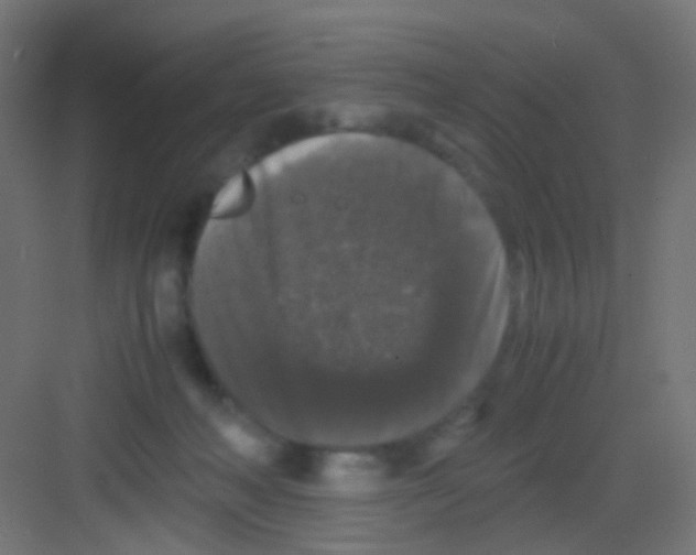 X0000081390222200702090046