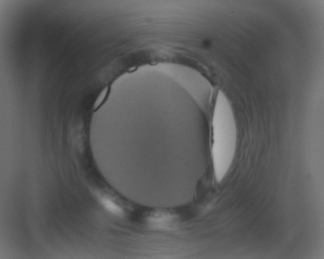 X0000081390223200702090046