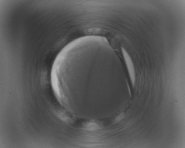 X0000081390224200702090046