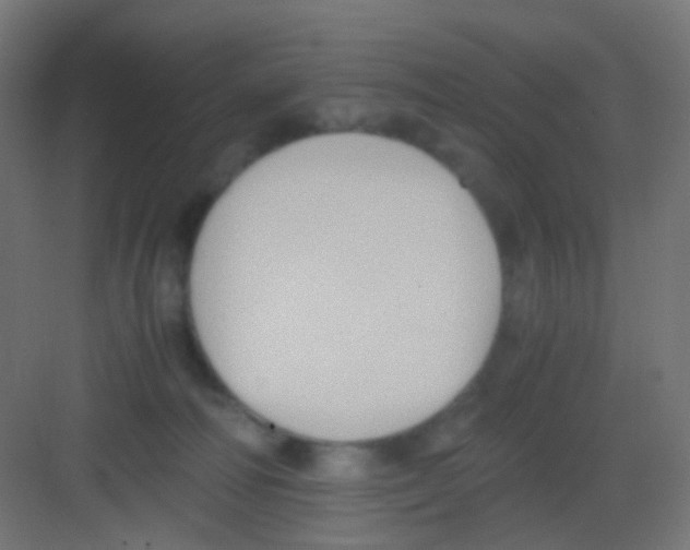 X0000081390226200702090046