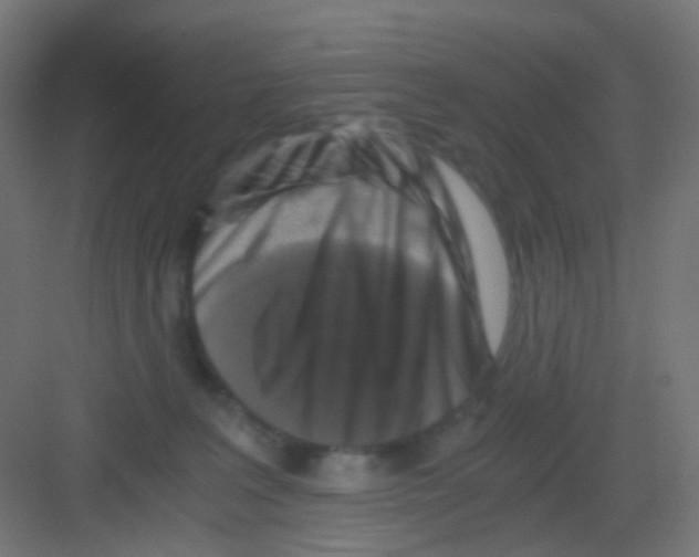 X0000081390227200702090046