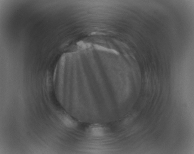 X0000081390228200702090046