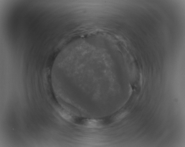 X0000081390229200702090046