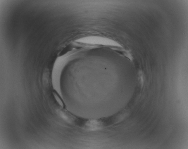 X0000081390231200702090046