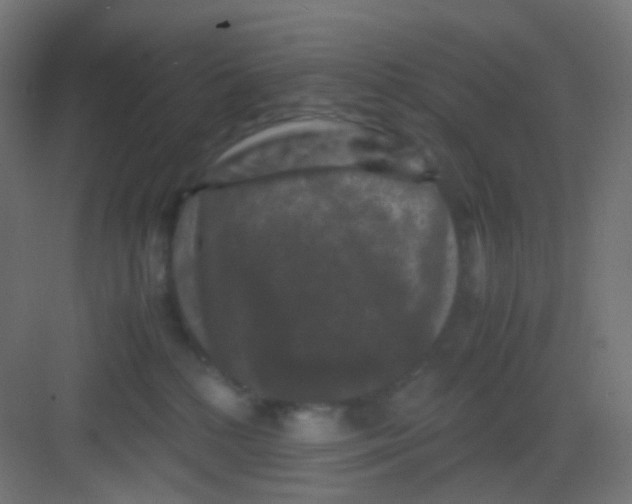 X0000081390232200702090046