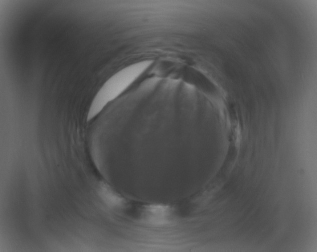 X0000081390233200702090046