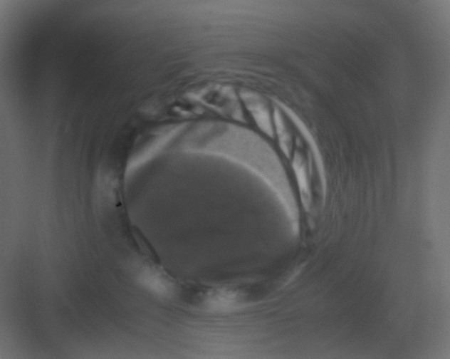 X0000081390235200702090046