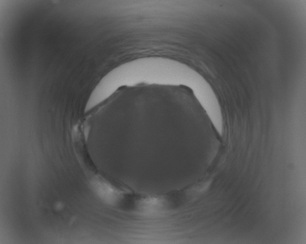 X0000081390237200702090046