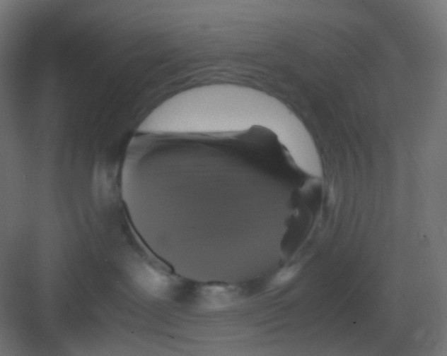 X0000081390239200702090046