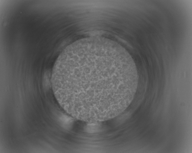 X0000081390240200702090046