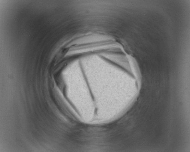 X0000081390242200702090045