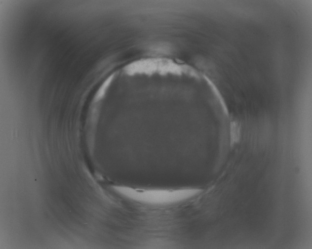 X0000081390243200702090045