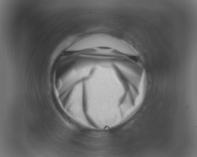 X0000081390245200702090045