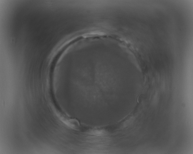 X0000081390247200702090045