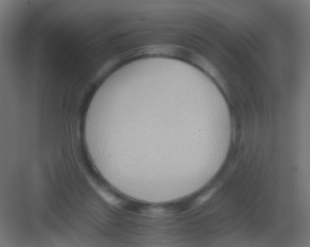 X0000081390253200702090045