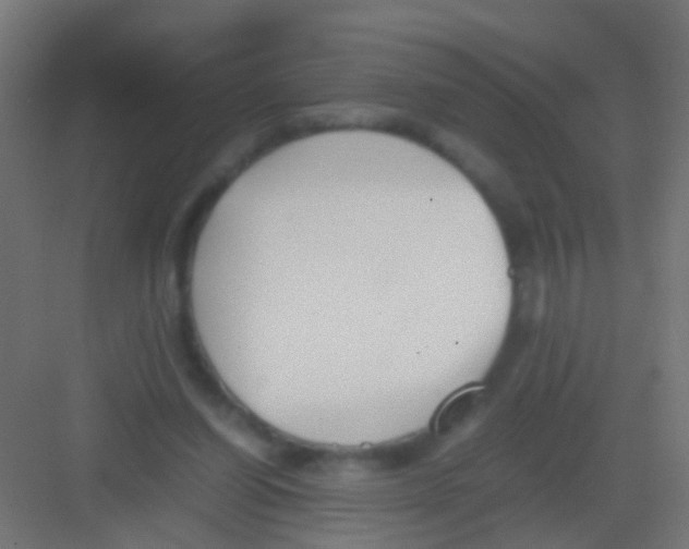 X0000081390254200702090045