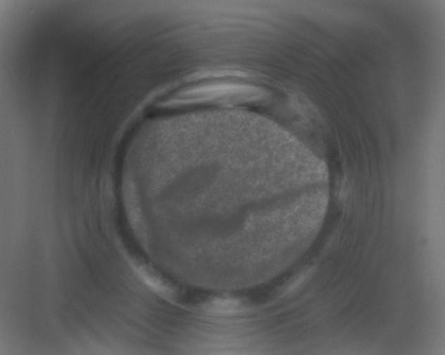 X0000081390256200702090045