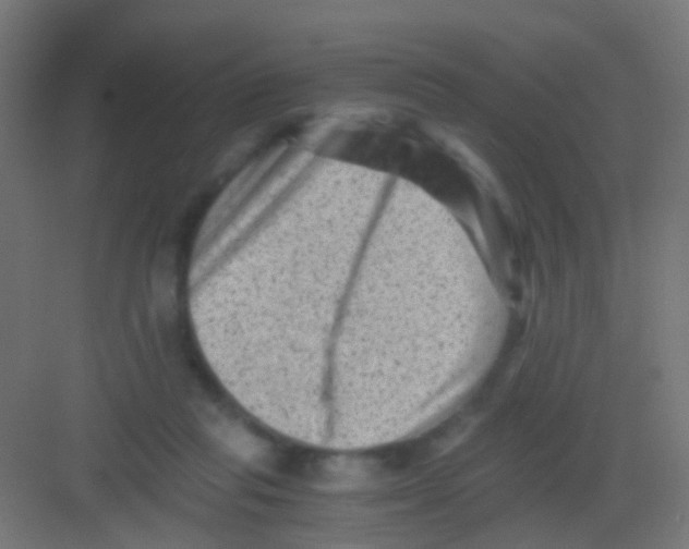 X0000081390261200702090045