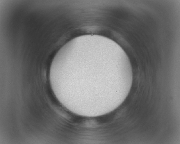 X0000081390262200702090045