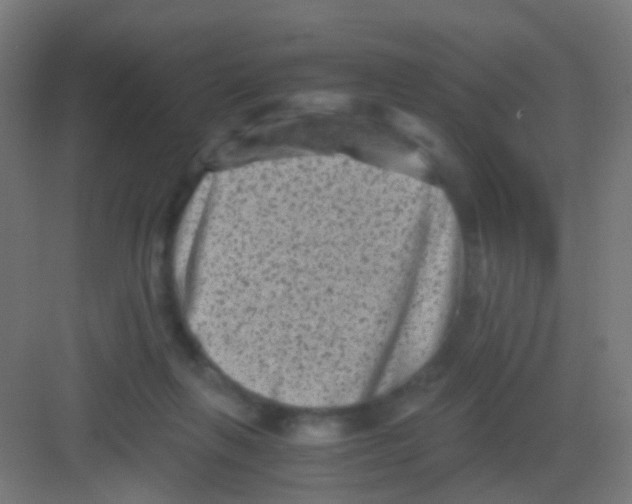 X0000081390263200702090045