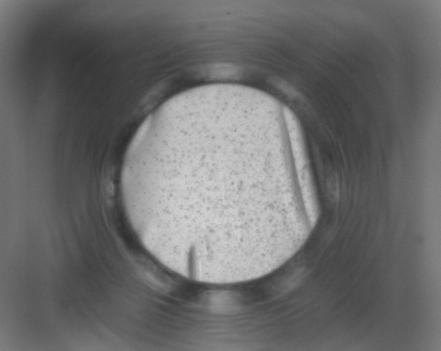 X0000081390264200702090045