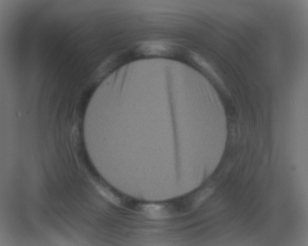 X0000081390265200702090045