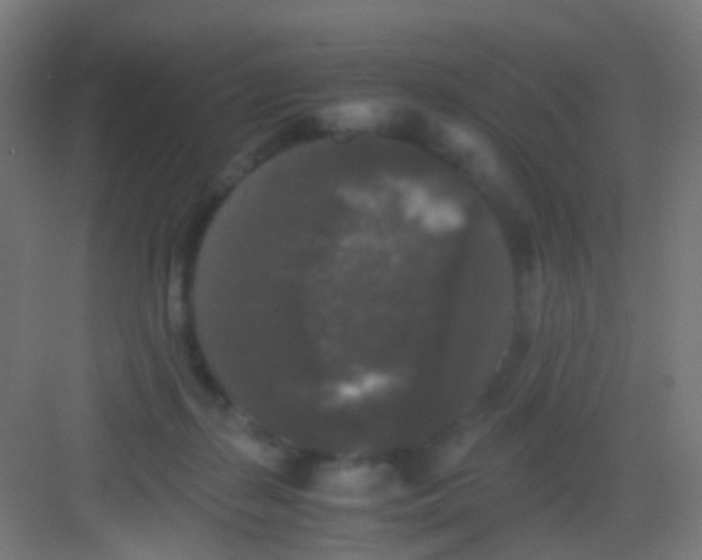 X0000081390267200702090045