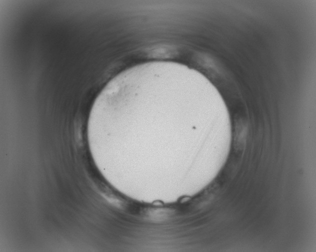 X0000081390268200702090045