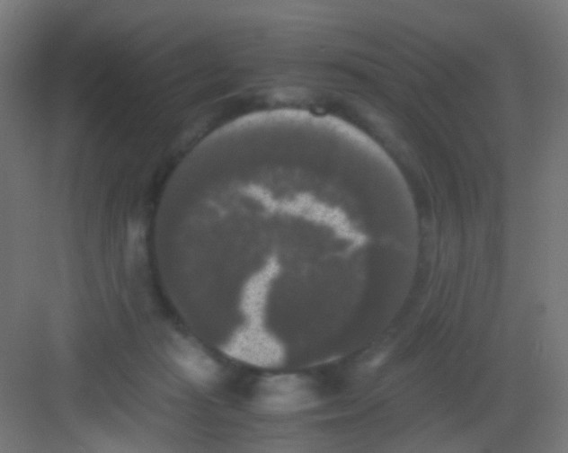 X0000081390269200702090045