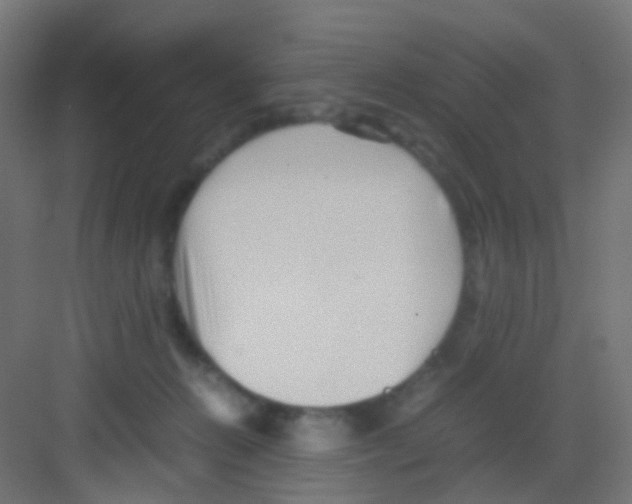 X0000081390270200702090045