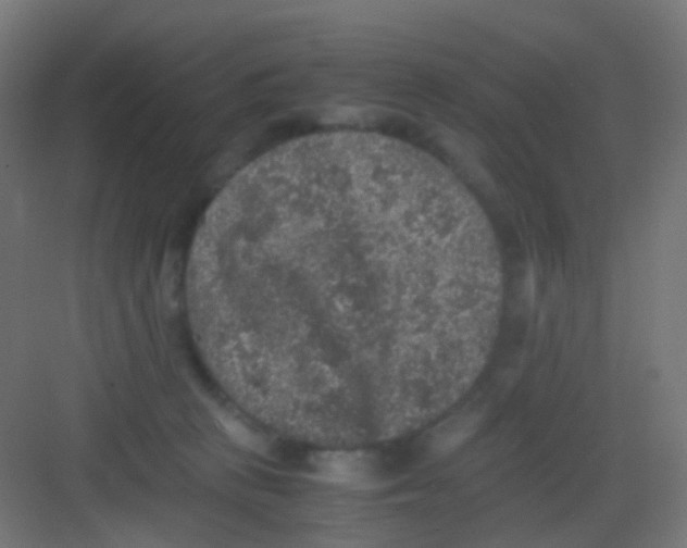 X0000081390273200702090045