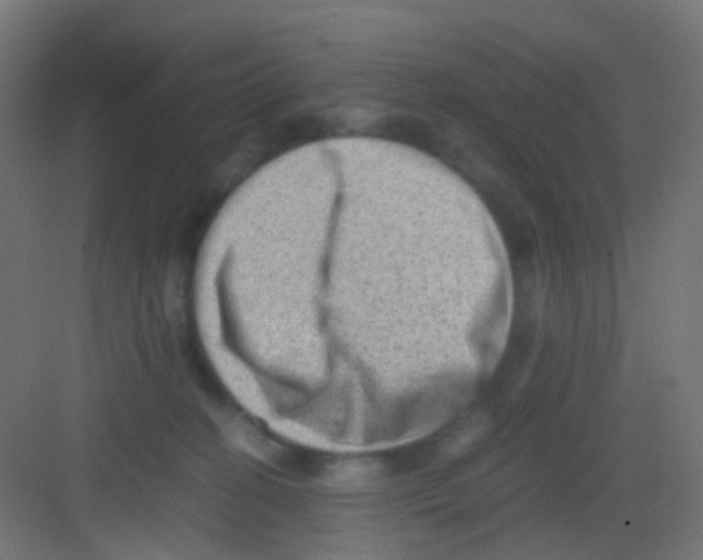 X0000081390274200702090045