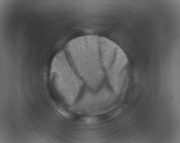 X0000081390275200702090045