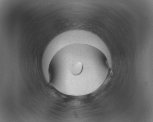 X0000081390276200702090045