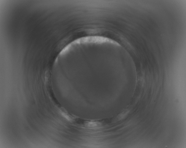 X0000081390277200702090045