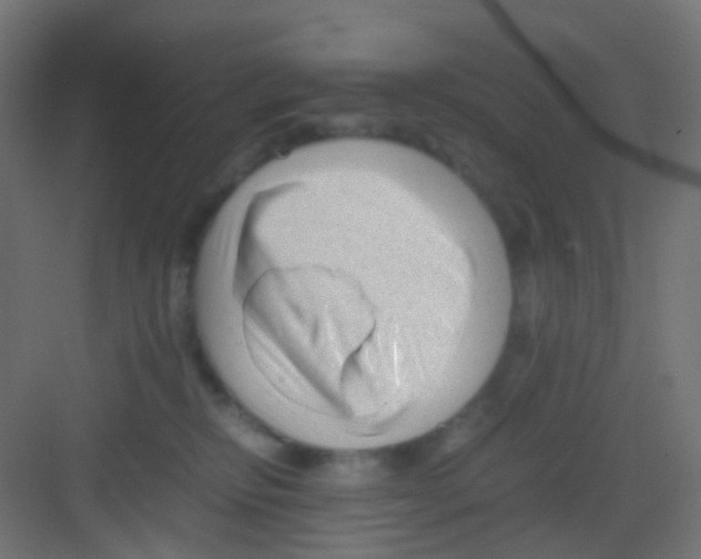 X0000081390278200702090045